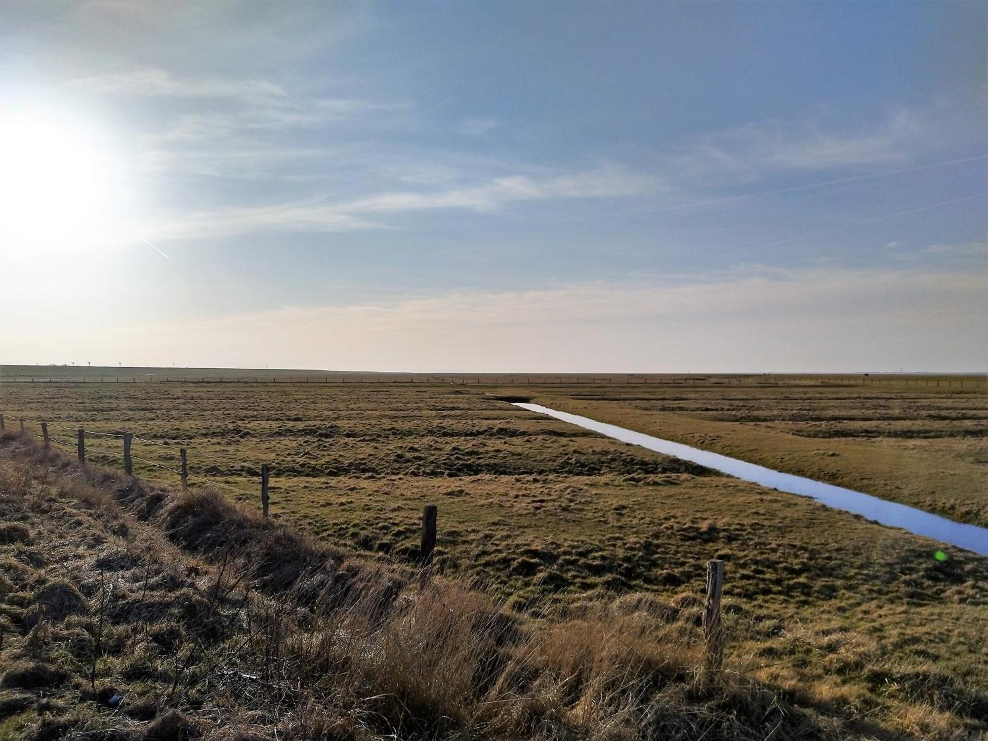 Ferienhaus Kolibri, Exklusiv Und Familiaer In Nessmersiel Mit Anbindung Nach Baltrum Buitenkant foto